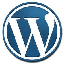 Wordpress Temaları